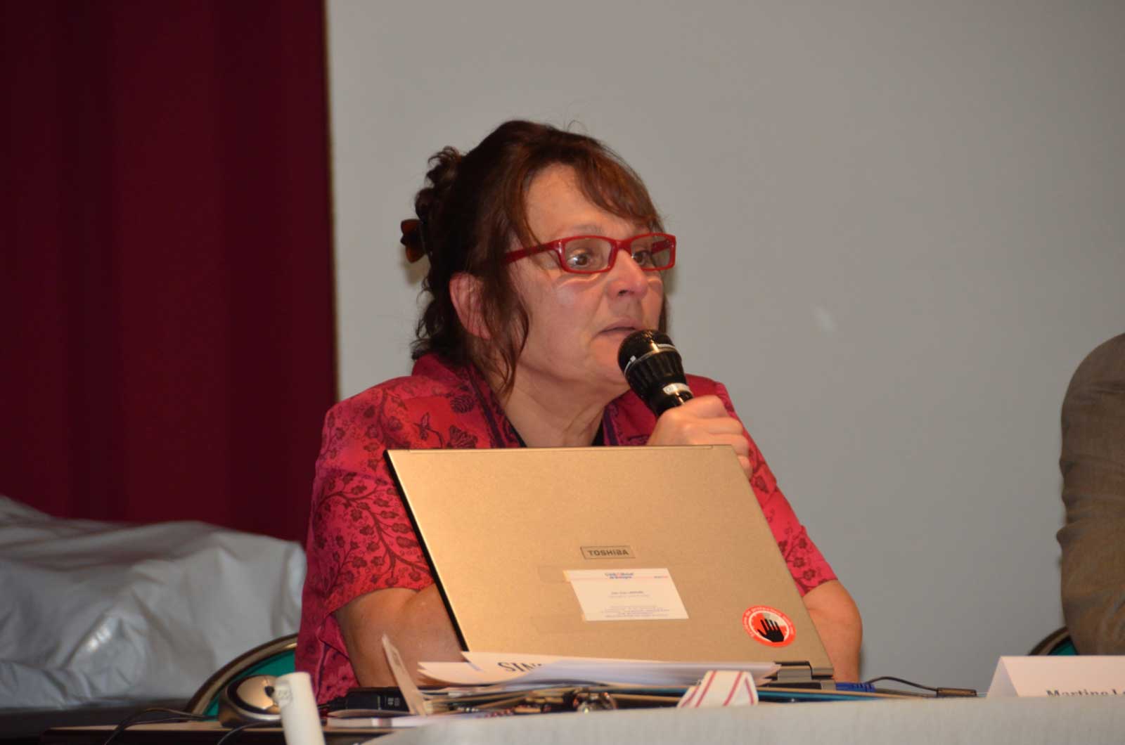 AG 2011 Plouider